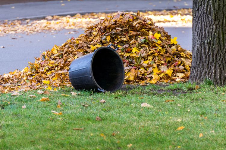 Pile of Leaves in Sydney for Rubbish Removal